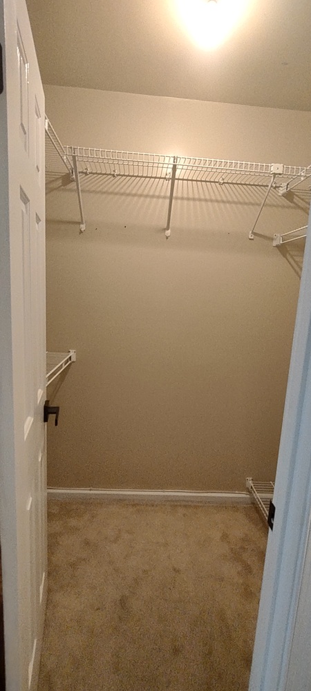 Gallery Photo 32